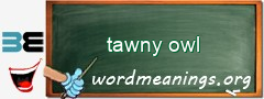 WordMeaning blackboard for tawny owl